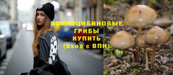 гидра Арсеньев