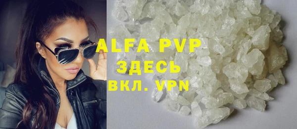 сатива Аркадак