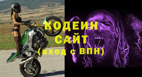 сатива Аркадак