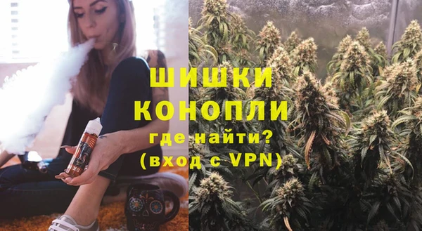 сатива Аркадак