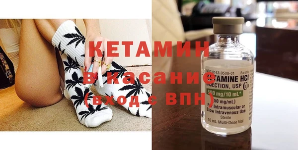 сатива Аркадак