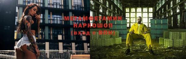 гидра Арсеньев