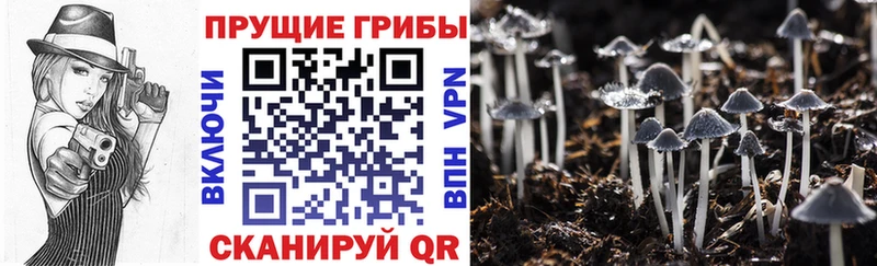 Псилоцибиновые грибы Magic Shrooms Коркино