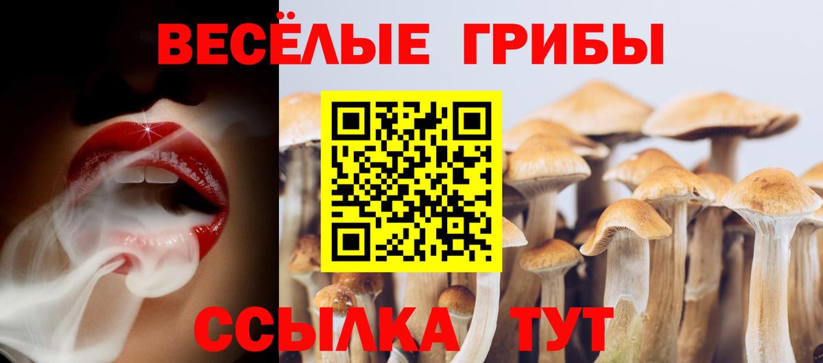 Коркино  Псилоцибиновые грибы ЛСД  Галлюциногенные грибы Psilocybe  Вход с VPN 